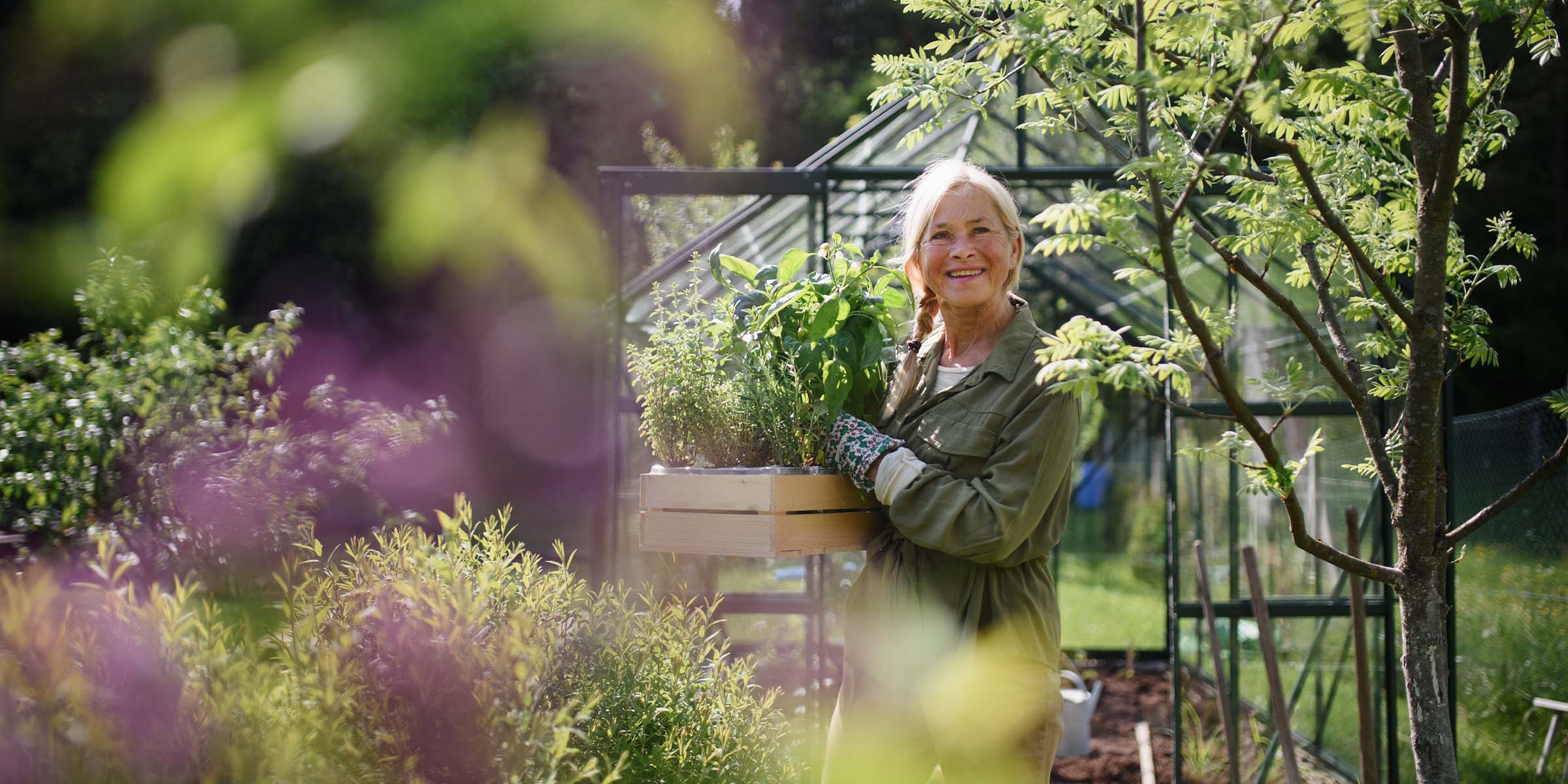 A person stands outside a small greenhouse in warm late summer sunlight, holding a small wooden box of young plant seedlings, representing the nurturing, growth-oriented approach of BankNewport's personal banking services — including personal checking accounts, personal banking guidance, and the full suite of personal financial tools available to Rhode Island customers.